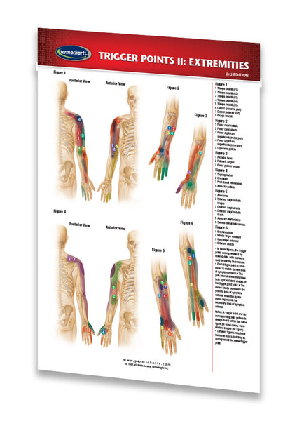 Trigger Points Chart Extremities Acupuncture Pocket Chart