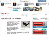 CitiKitty featured in The New York Times