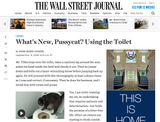 CitiKitty in The Wall Street Journal