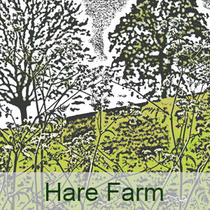 Hare Farm