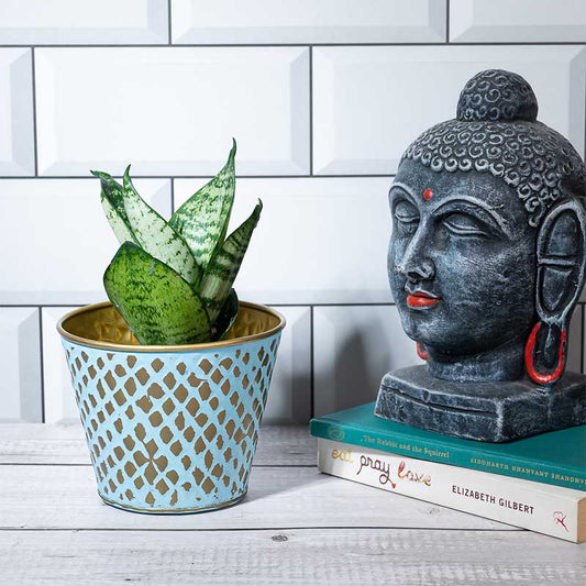 Turquoise Tranquility Planter | 4 Inch