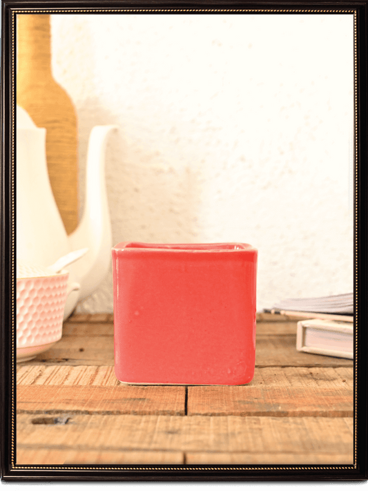 Square Ceramic Pot | Ugaoo | Multiple Colors