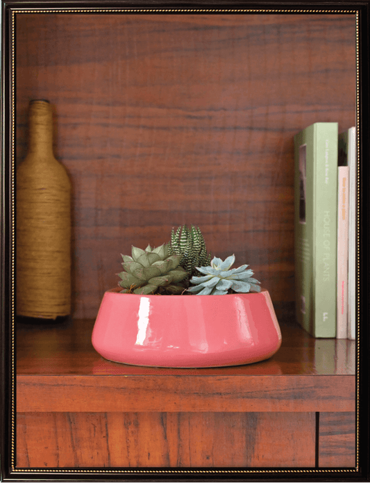 Tulip Fantasy Ceramic Pot | Ugaoo | Mutiple Colors