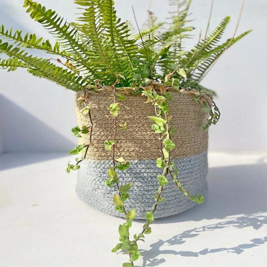 Bottom Jute Basket | Multiple Sizes