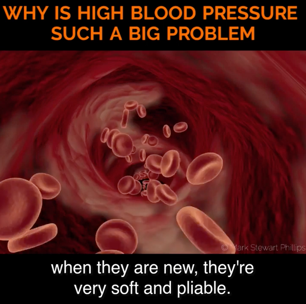 New Red Blood Cells are Soft and Pliable