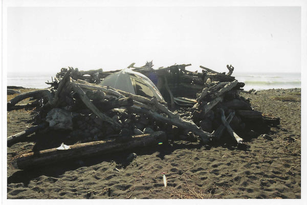 Tent on the beach encircled by a large pile of driftwood.