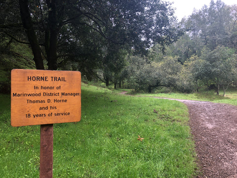 Trail Entrance image.