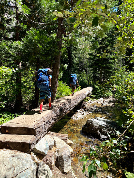 Susan's sons hiking with their backpacks over a log