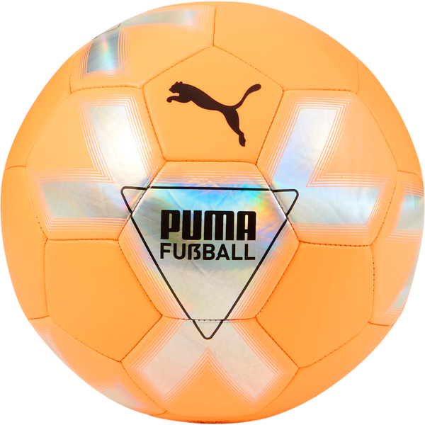 Puma Cage Ball Size 4 – Sports Basement