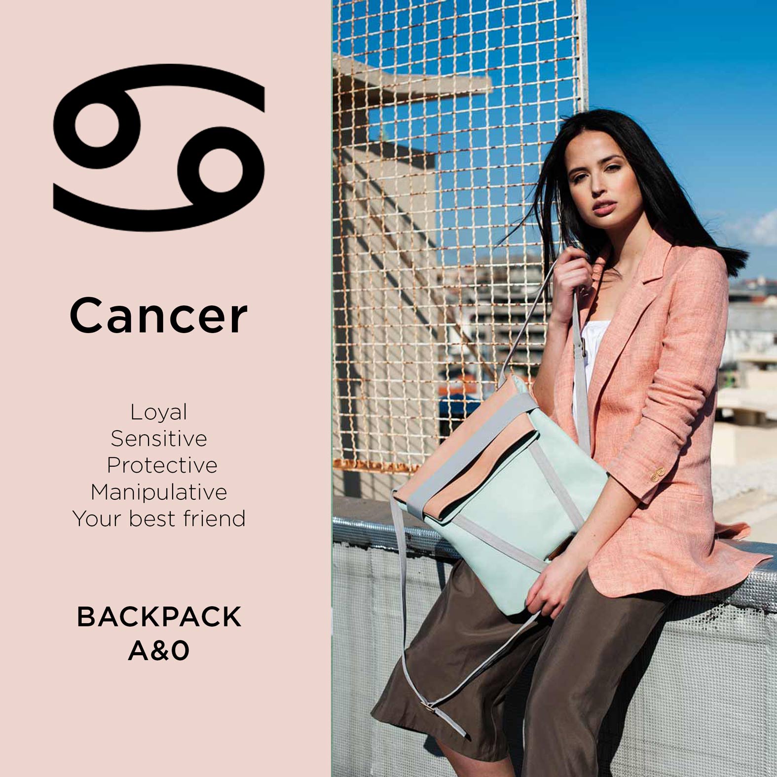 The perfect bag for the cancer Woman