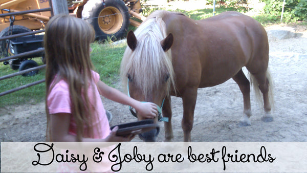 Daisy & Joby- A girl and her horse
