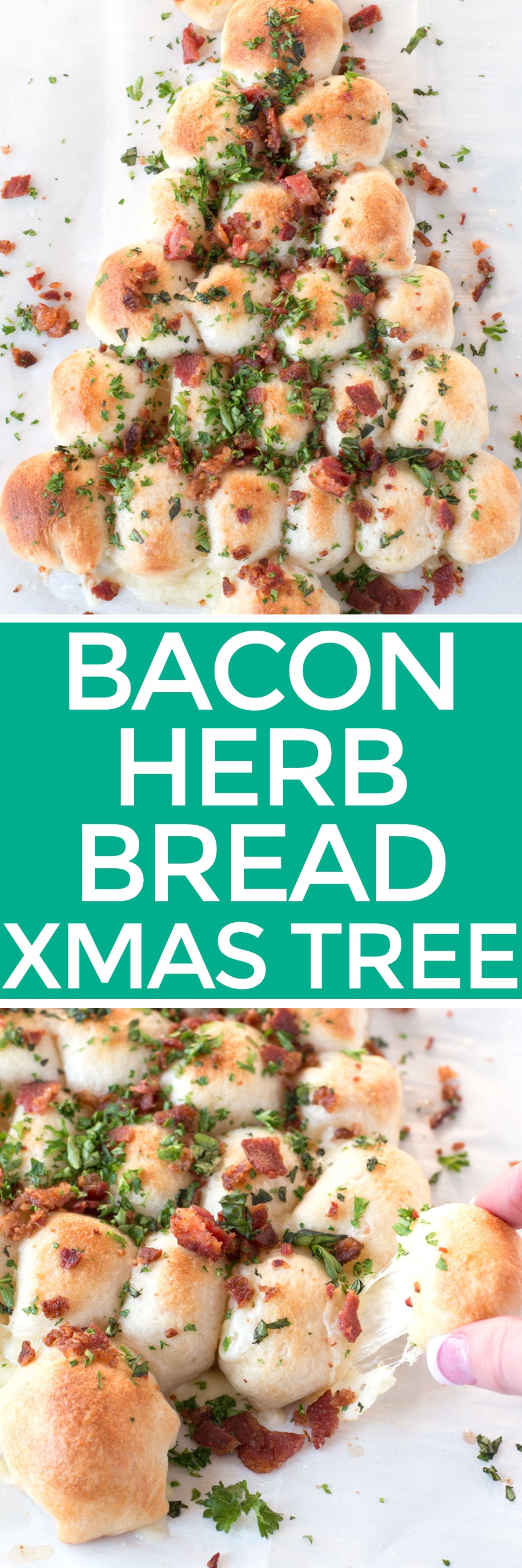 Bacon, Herb and Cheese Christmas Bread Tree | pigofthemonth.com #christmas #holiday #party #recipe