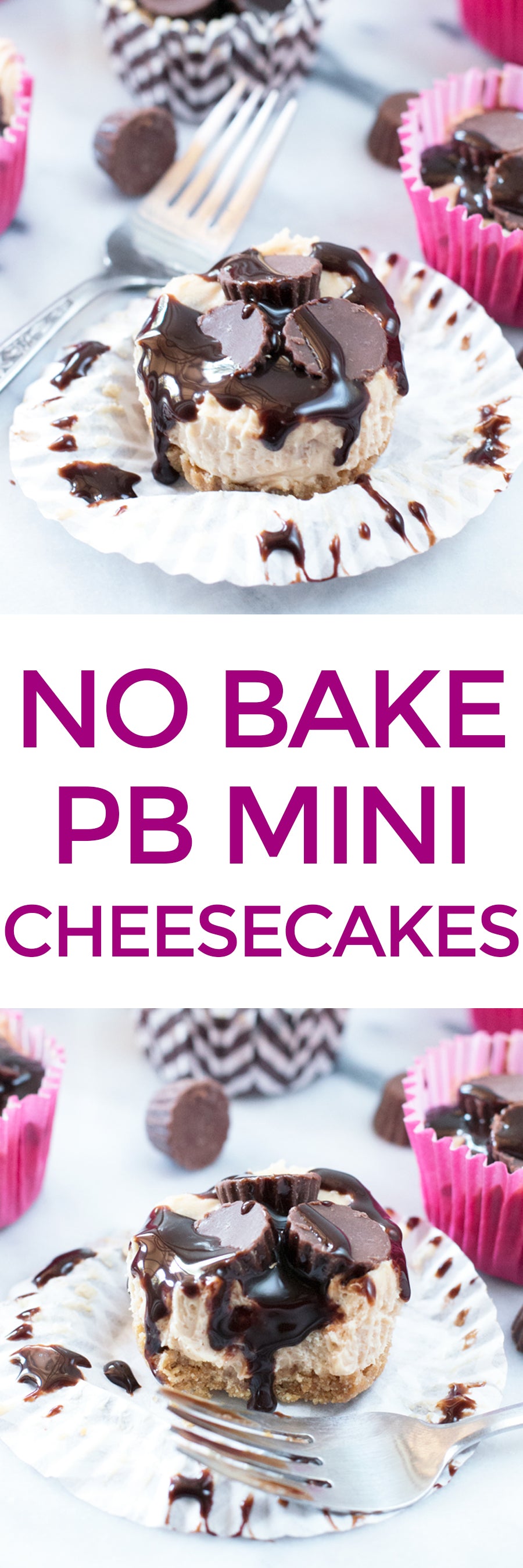 No Bake PB Mini Cheesecakes | pigofthemonth.com #dessert #peanutbutter #chocolate