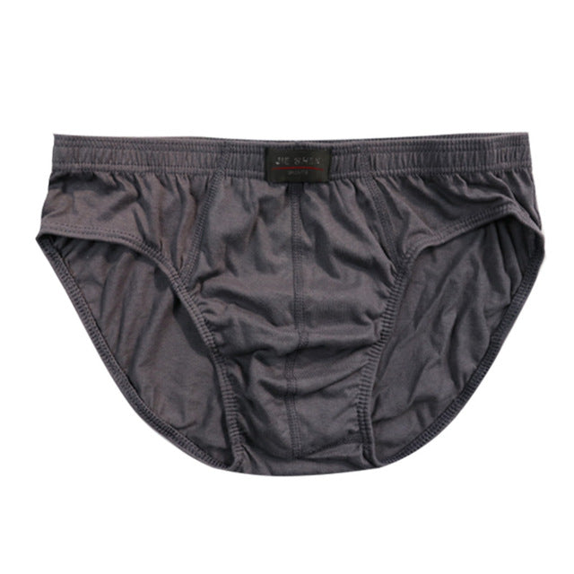 plus size mens briefs