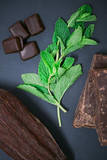 MOUNTAIN MINT CARAMEL CHOCOLATES