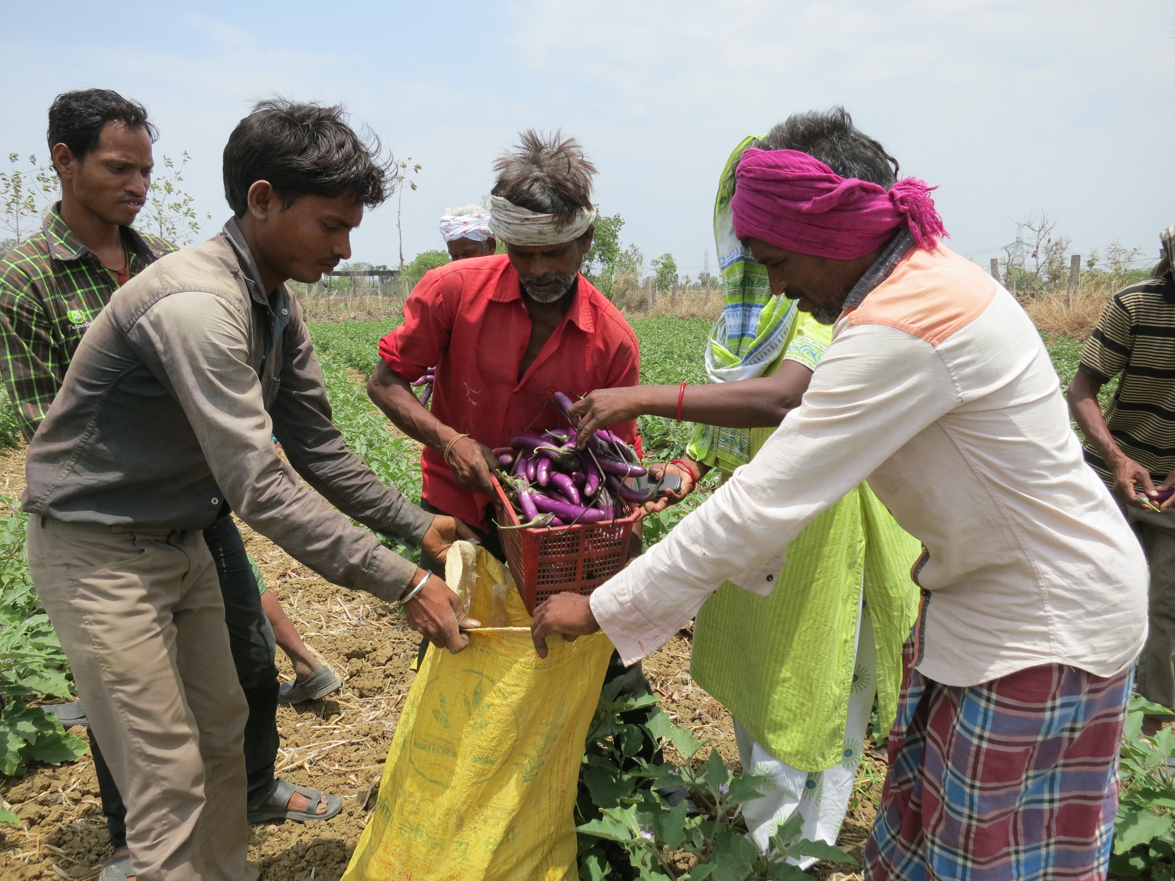 With the help of TEAR Australia and our partner in India – Emmanuel Hospital Association (EHA) – farmers are being trained in the production of bio compost.