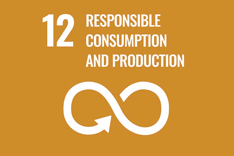 UN sustainbale development goal 12 - responsible consumption - alterre shoes