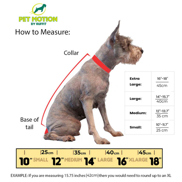 Pet Carrier Size Chart