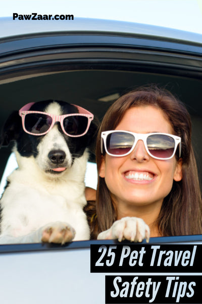pet travel safety tips