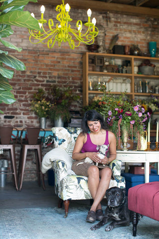 The Gorgeous and Green Studio and the dogs