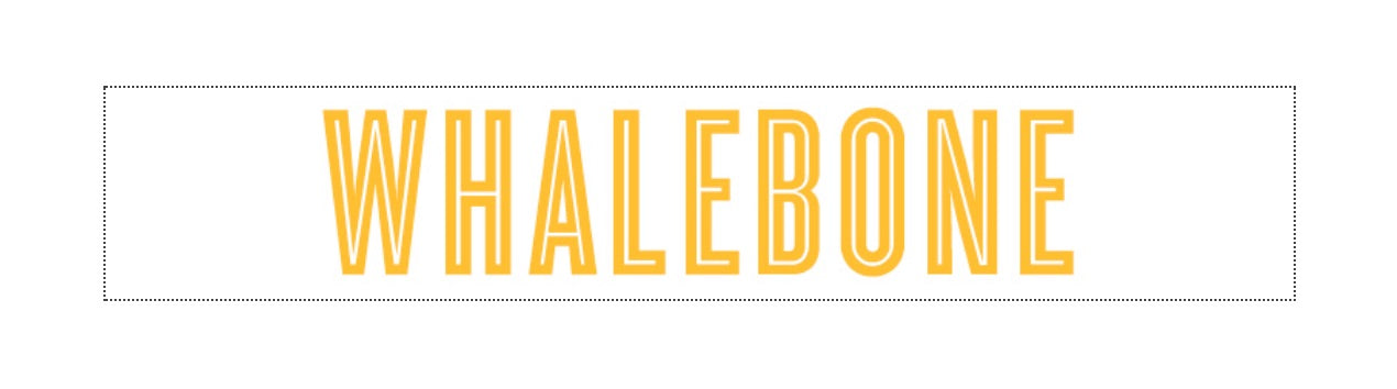 Whalebone logo - Interview Mikaila Ulmer