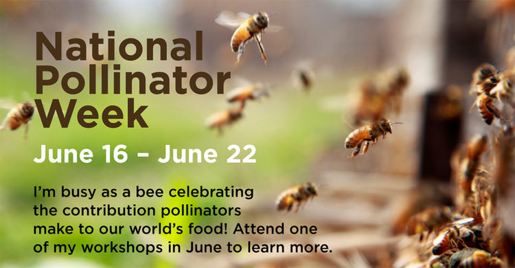 NATIONAL POLLINATOR WEEK