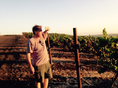 Winemaker Jeff Fink looks on...