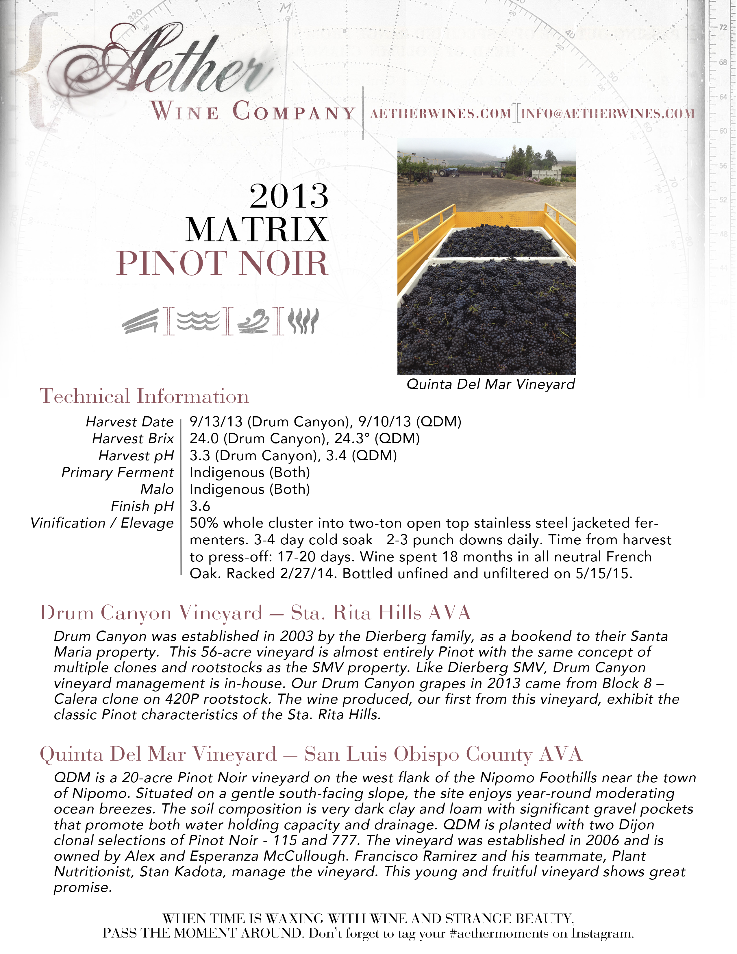 2013 Aether Matrix Pinot Noir