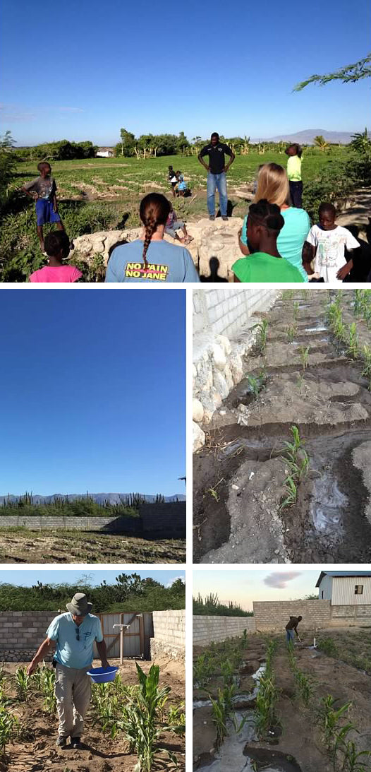 farming god's way in haiti