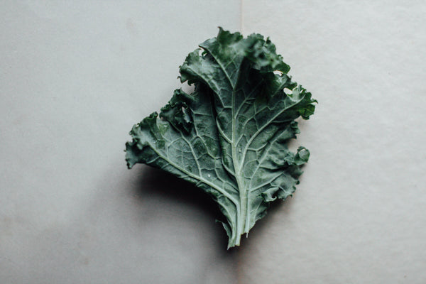 Kale - Hummingbird Glass Straws Recipe