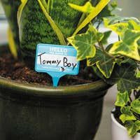 Plant Name Tags