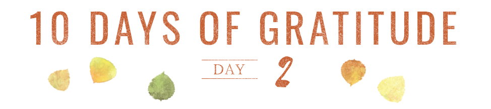 10 Days of Gratitude - Day 2