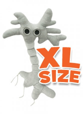 neuron plush toy