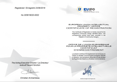 EU Design Registration