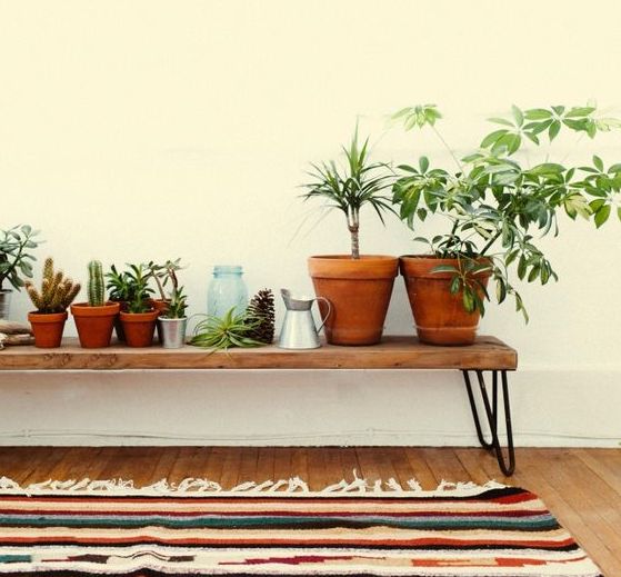 bijtend Eerlijk deed het Ter inspiratie: zó staan kamerplanten op de gang! – Plantsome