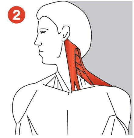 Stretching Trigger Points