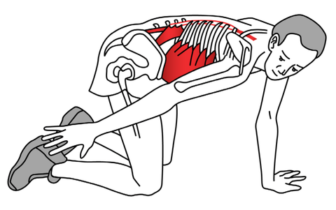 Stretching the QL