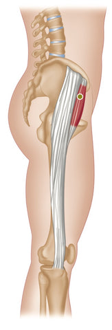 TFL Trigger Points