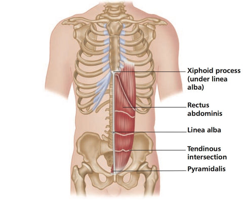 IBS Trigger Points