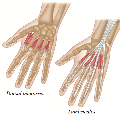 Hand Muscle Trigger Points