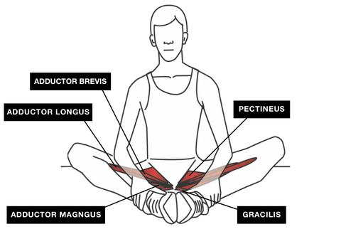 Trigger Point Release Groin Stretch