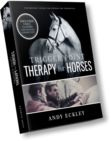 Trigger Points for Horses Course