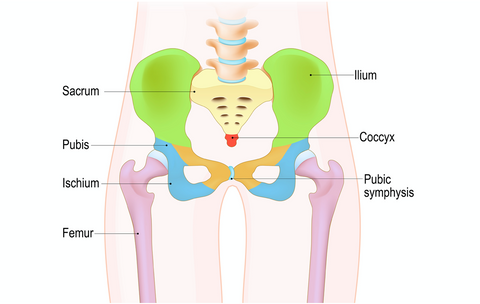 What Are The Causes, Symptoms And Treatment For Sciatica