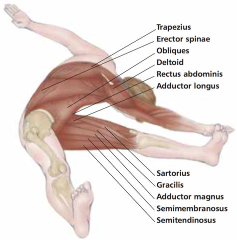 Strengthening Obliques Trigger Point Therapy