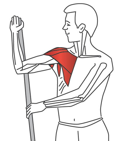 Shoulder / ПЛЕЧИ: TRIGGER POINT THERAPY - TREATING TERES MAJOR