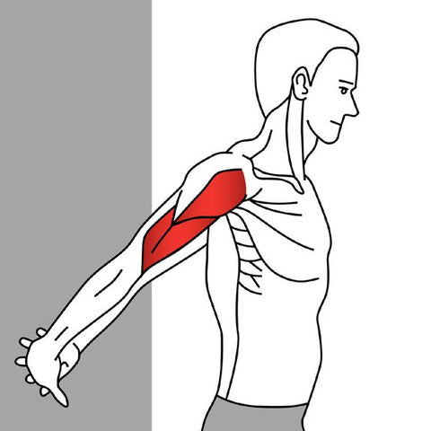 Trigger_Point_Therapy_Shoulder_and_Upper_Arm-5_large.jpg
