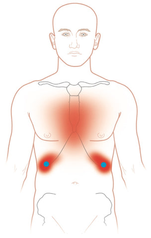 Diaphragm Trigger Point Pain Map