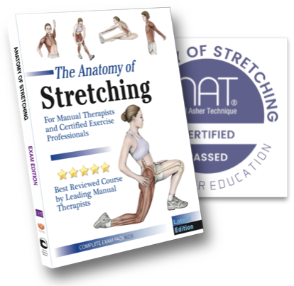 Anatomy of Stretching Course