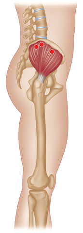 Trigger Point Therapy - Gluteus Medius