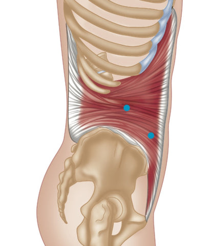 Transversus Abdominis Trigger Point Release